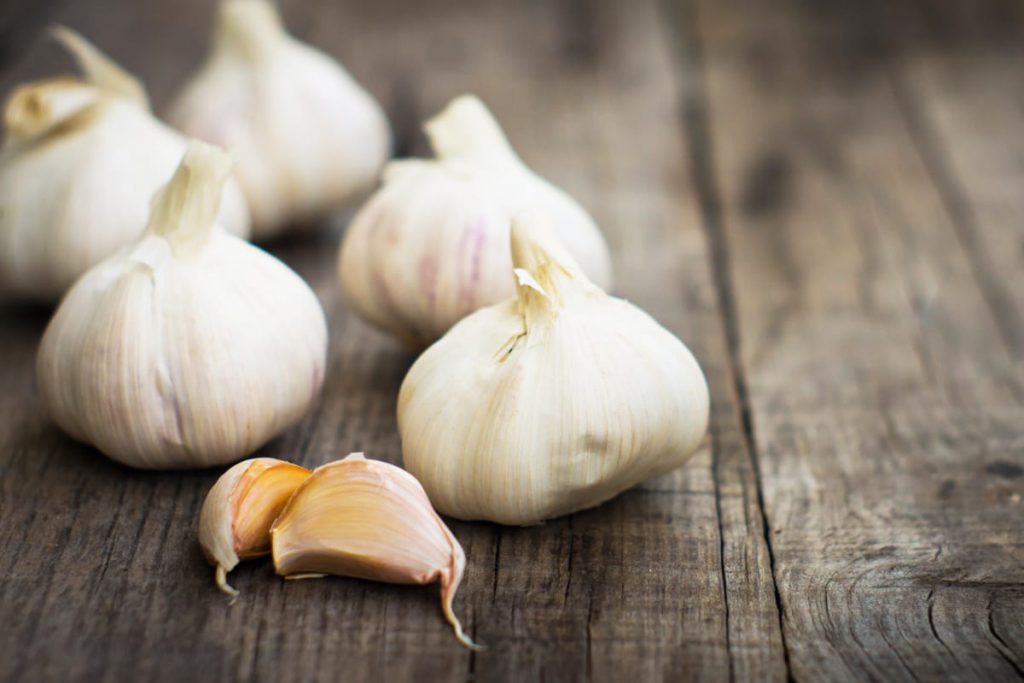 Hilft nicht nur gegen Vampire: Knoblauch